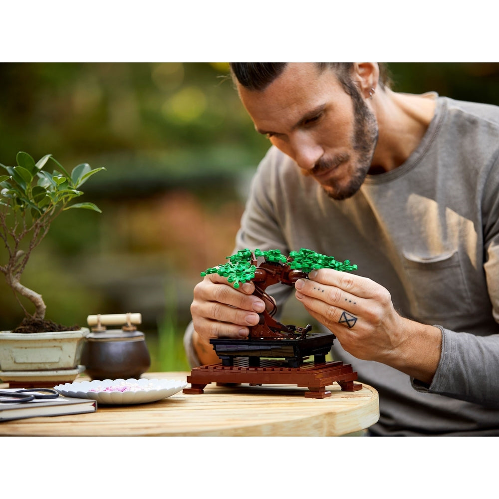 Botanicals 10281 albero bonsai