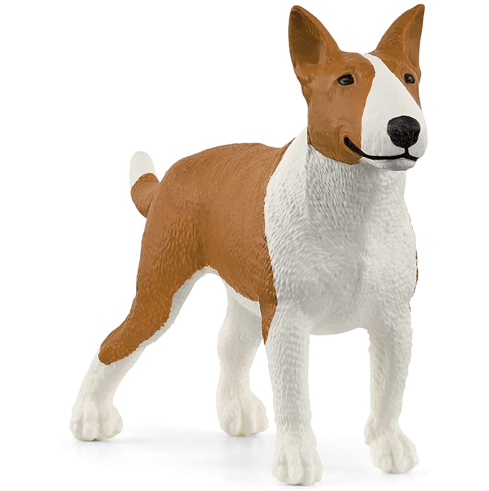 bull terrier