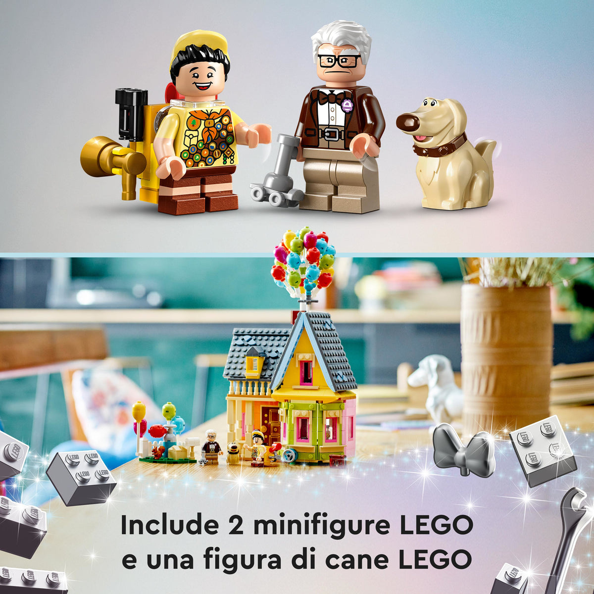43217 - casa di “up”