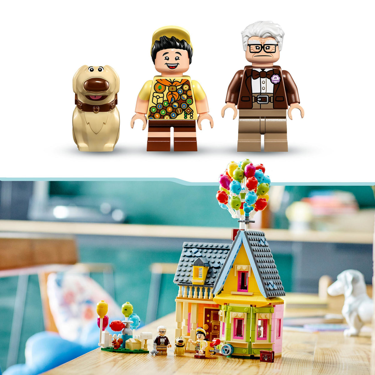 43217 - casa di “up”