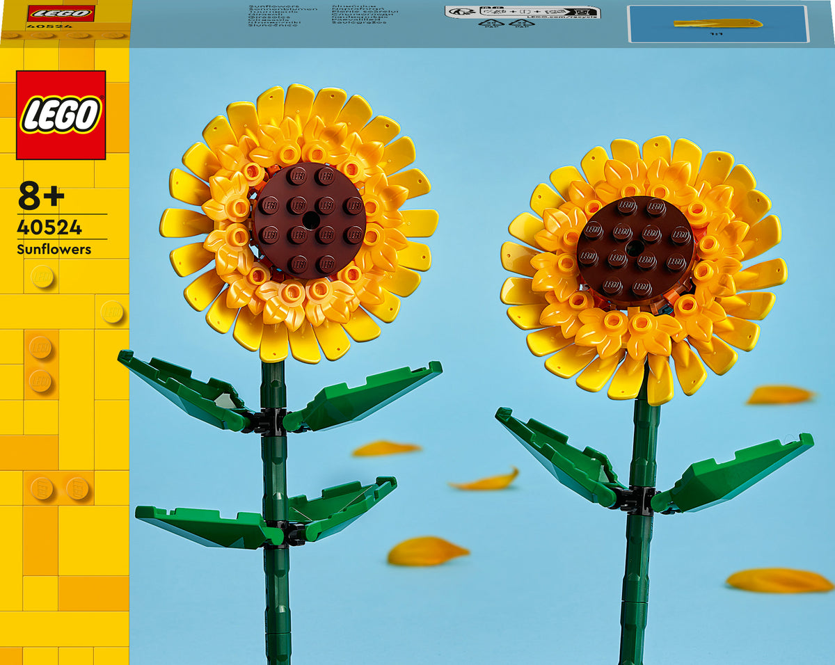 40524 - girasoli