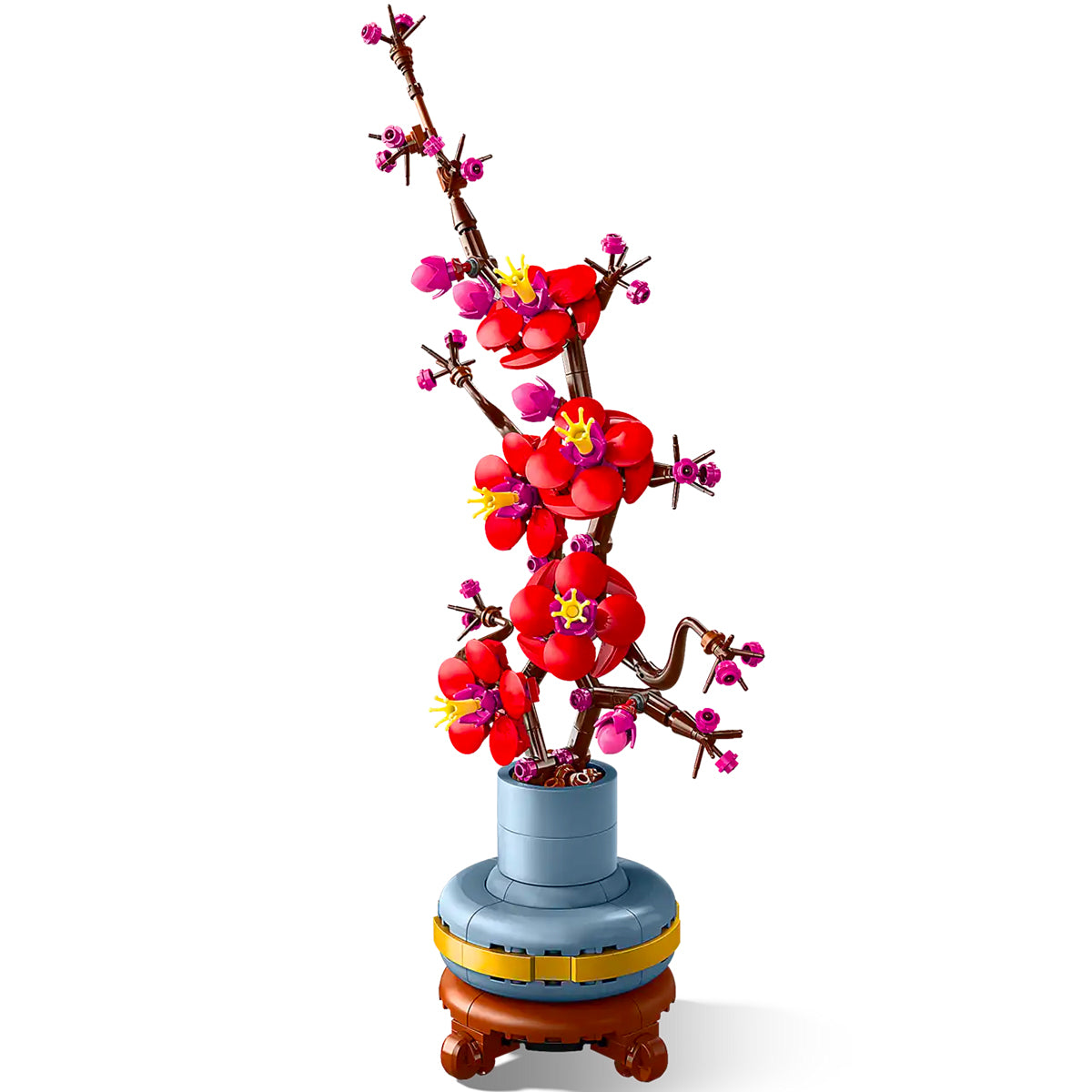 Botanicals 10369 albicocco giapponese