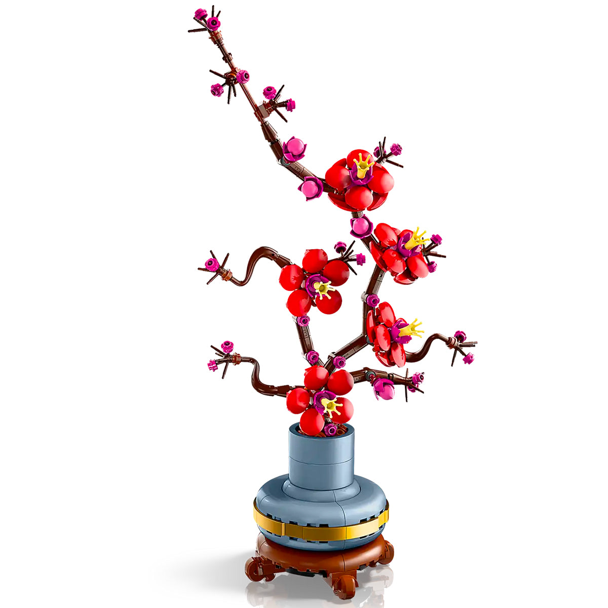 Botanicals 10369 albicocco giapponese