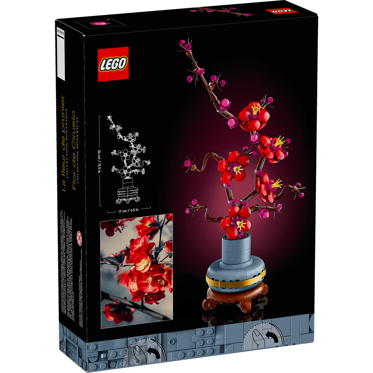 Botanicals 10369 albicocco giapponese