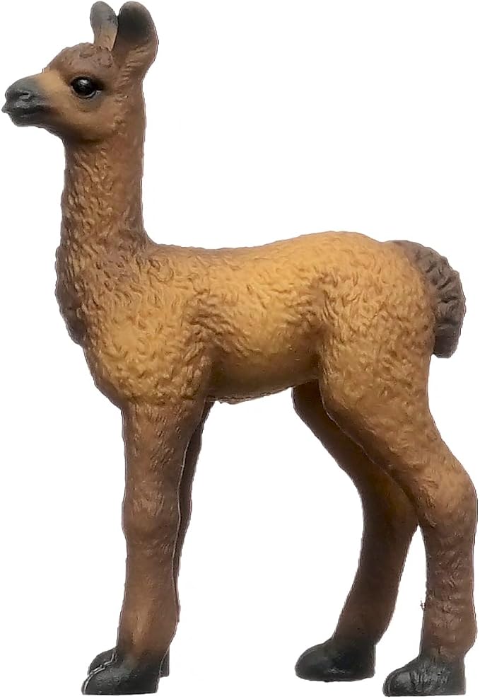 cucciolo di lama