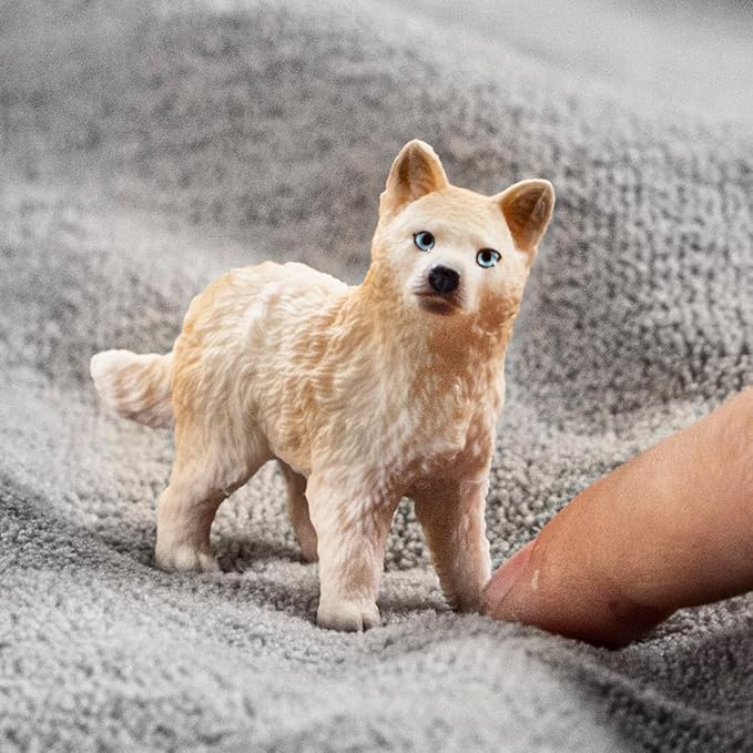 cucciolo di lupo artico