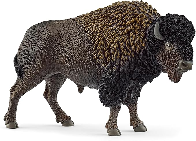 bisonte