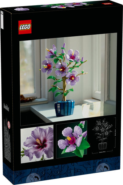 Botanicals 10372 ibisco