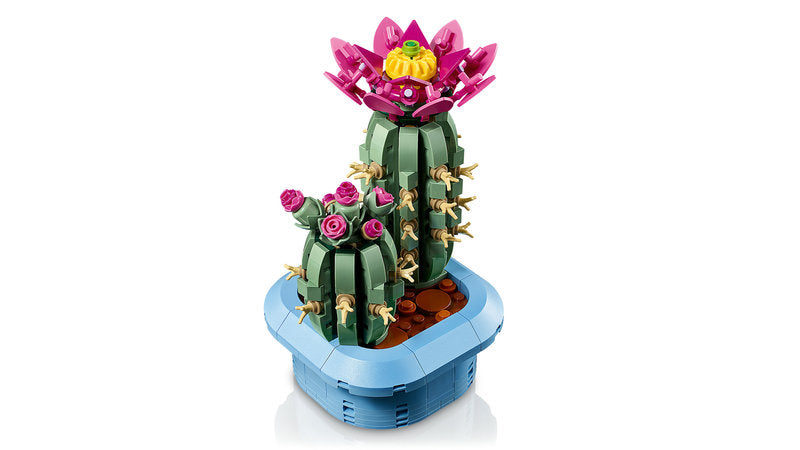 Botanicals 11509 cactus in fiore
