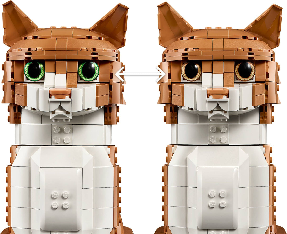 21376 - gatto soriano