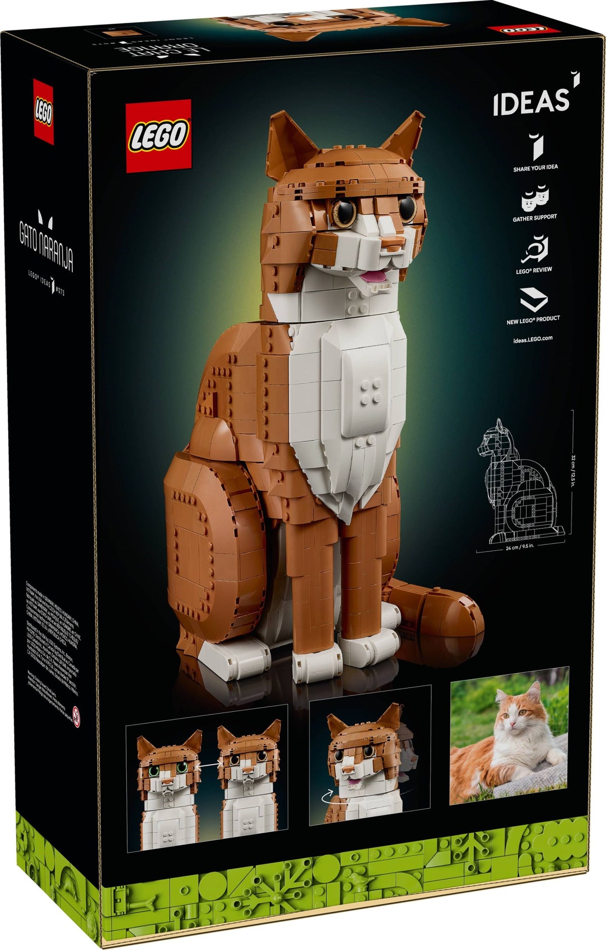 21376 - gatto soriano