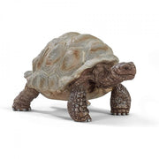 tartaruga gigante